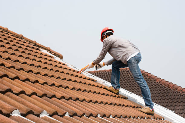 Best Roof Moss and Algae Removal  in Sparta, NC