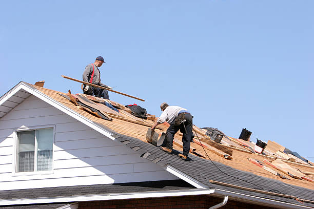 Best Roof Insulation Installation  in Sparta, NC
